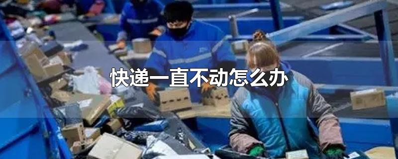 快递一直不动怎么办-最新快递一直不动怎么办整理解答