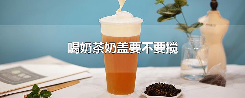 喝奶茶奶盖要不要搅-最新喝奶茶奶盖要不要搅整理解答