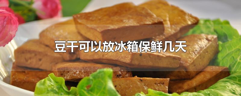 豆干可以放冰箱保鲜几天-最新豆干可以放冰箱保鲜几天整理解答