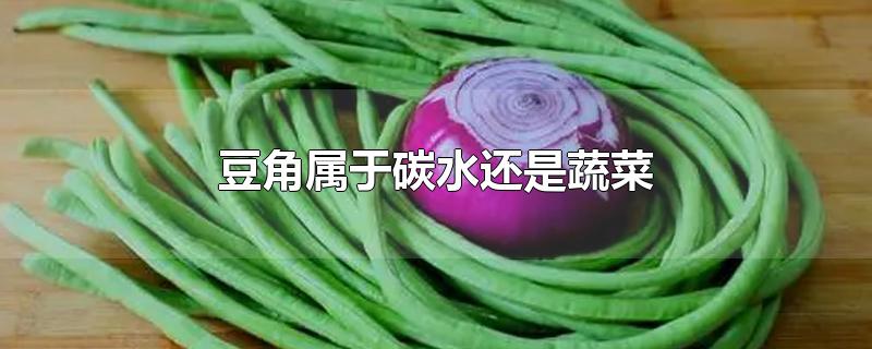 豆角属于碳水还是蔬菜-最新豆角属于碳水还是蔬菜整理解答