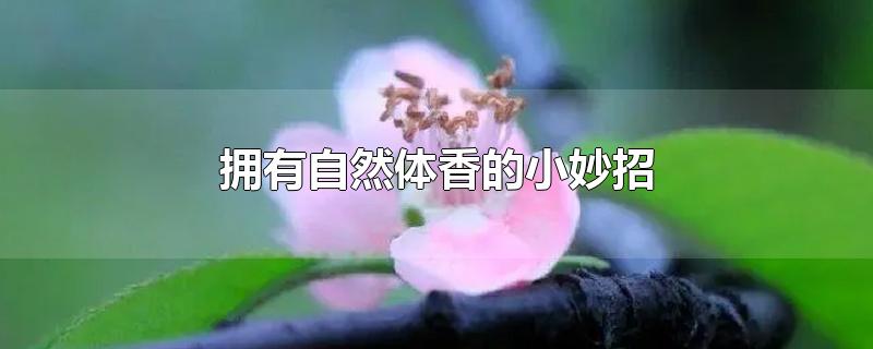 拥有自然体香的小妙招-最新拥有自然体香的小妙招整理解答