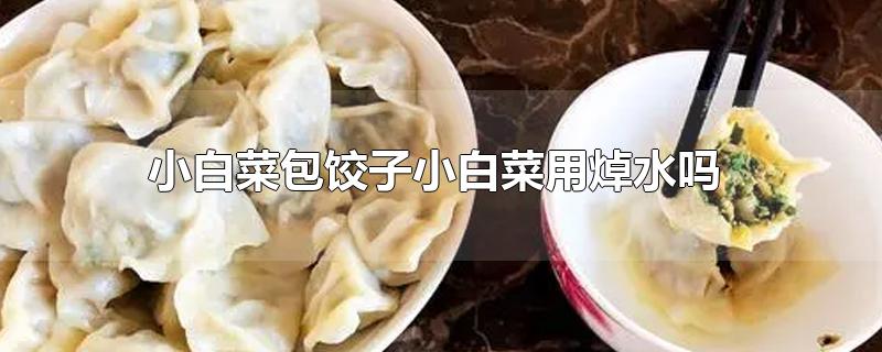 小白菜包饺子小白菜用焯水吗-最新小白菜包饺子小白菜用焯水吗整理解答