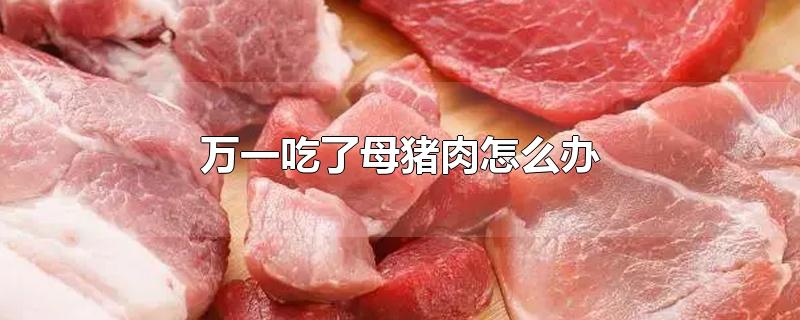 万一吃了母猪肉怎么办