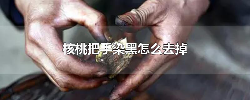 核桃把手染黑怎么去掉-最新核桃把手染黑怎么去掉整理解答