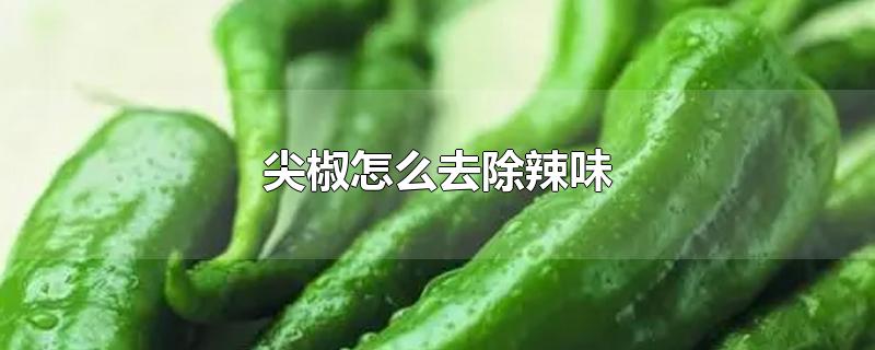 尖椒怎么去除辣味-最新尖椒怎么去除辣味整理解答