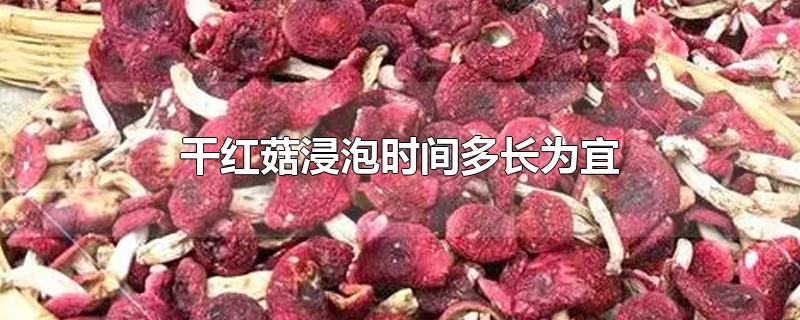 干红菇浸泡时间多长为宜-最新干红菇浸泡时间多长为宜整理解答