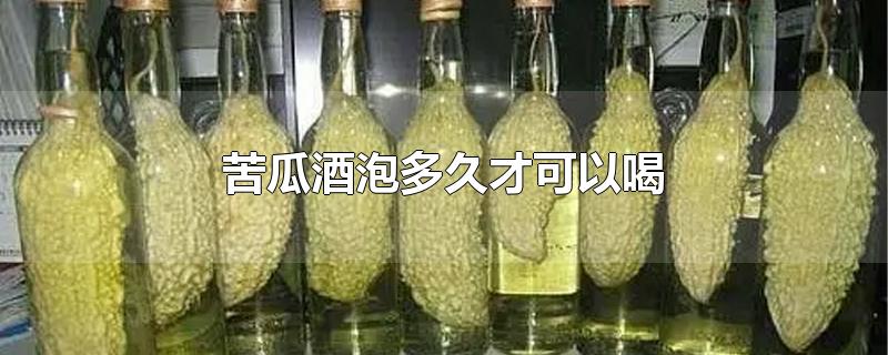 苦瓜酒泡多久才可以喝-最新苦瓜酒泡多久才可以喝整理解答