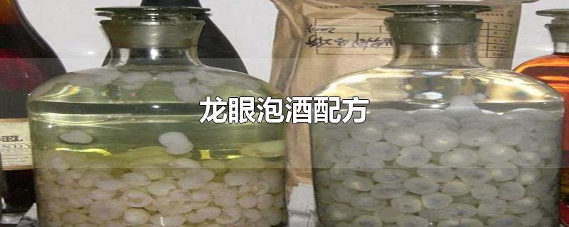 龙眼泡酒配方-最新龙眼泡酒配方整理解答