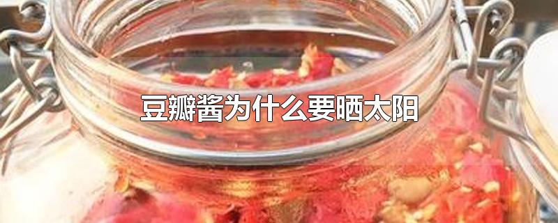 豆瓣酱为什么要晒太阳-最新豆瓣酱为什么要晒太阳整理解答