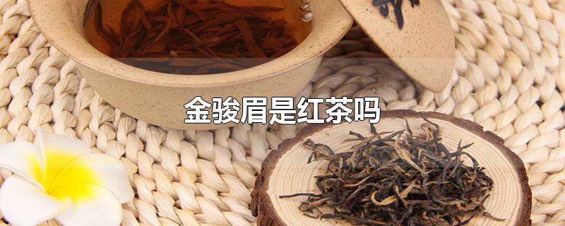 金骏眉是红茶吗-最新金骏眉是红茶吗整理解答