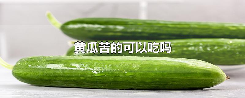 黄瓜苦的可以吃吗-最新黄瓜苦的可以吃吗整理解答