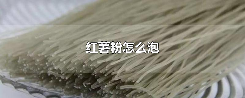 红薯粉怎么泡-最新红薯粉怎么泡整理解答