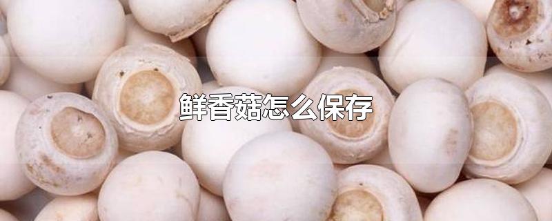 鲜香菇怎么保存-最新鲜香菇怎么保存整理解答