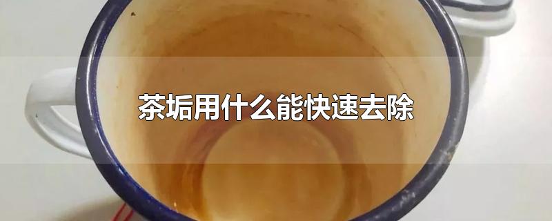 茶垢用什么能快速去除-最新茶垢用什么能快速去除整理解答