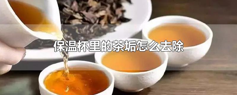 保温杯里的茶垢怎么去除-最新保温杯里的茶垢怎么去除整理解答