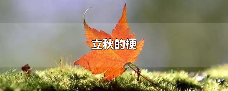 立秋的梗-最新立秋的梗整理解答