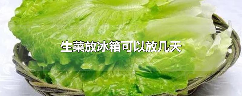 生菜放冰箱可以放几天-最新生菜放冰箱可以放几天整理解答