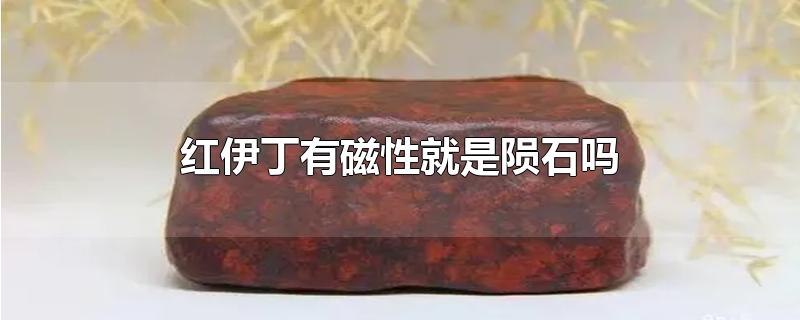 红伊丁有磁性就是陨石吗-最新红伊丁有磁性就是陨石吗整理解答