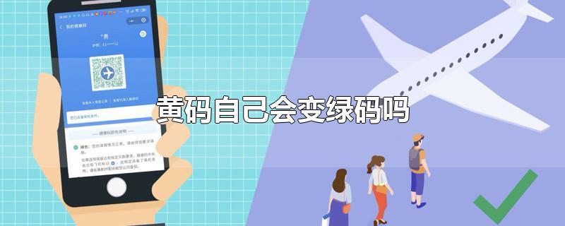 黄码自己会变绿码吗-最新黄码自己会变绿码吗整理解答