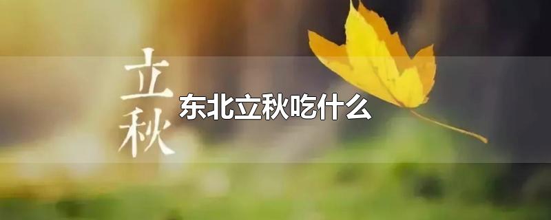 东北立秋吃什么