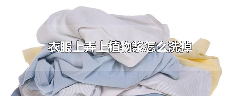 衣服上弄上植物浆怎么洗掉