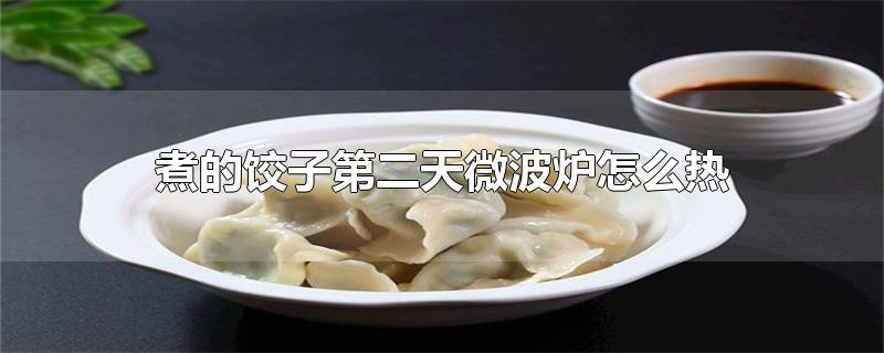 煮的饺子第二天微波炉怎么热