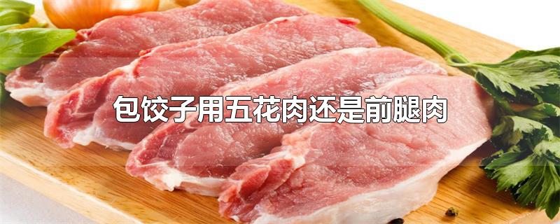 包饺子用五花肉还是前腿肉