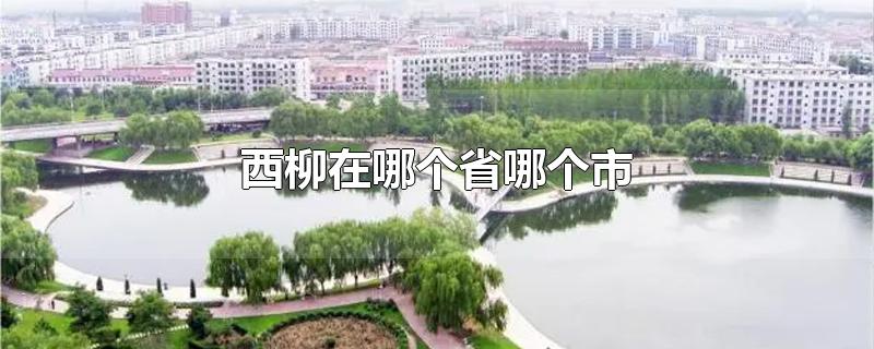 西柳在哪个省哪个市