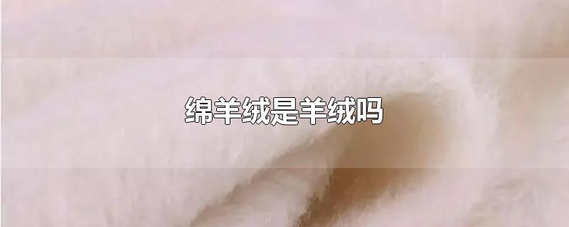 绵羊绒是羊绒吗