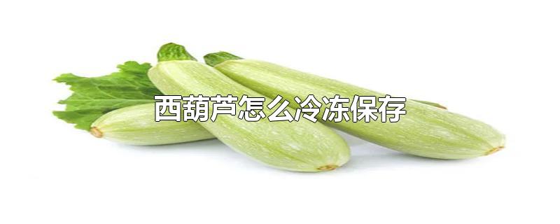 西葫芦怎么冷冻保存-最新西葫芦怎么冷冻保存整理解答