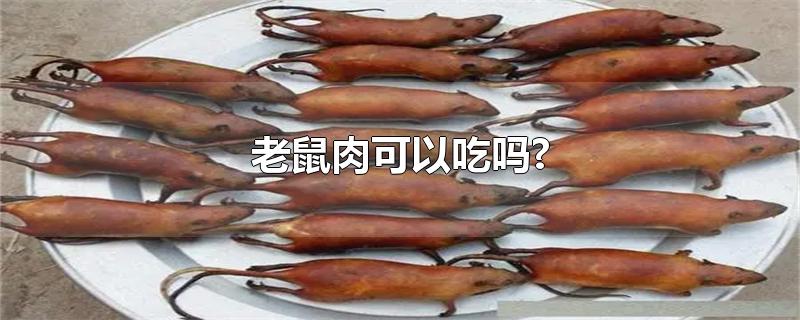 老鼠肉可以吃吗?-最新老鼠肉可以吃吗?整理解答