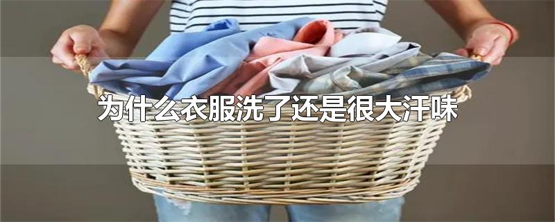 为什么衣服洗了还是很大汗味