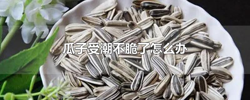 瓜子受潮不脆了怎么办