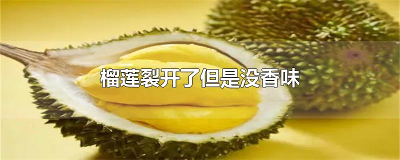 榴莲裂开了但是没香味-最新榴莲裂开了但是没香味整理解答