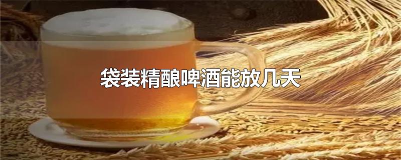 袋装精酿啤酒能放几天-最新袋装精酿啤酒能放几天整理解答