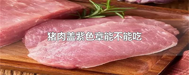 猪肉盖紫色章能不能吃