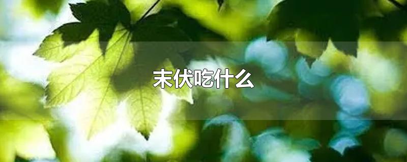 末伏吃什么-最新末伏吃什么整理解答