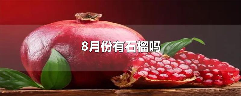 8月份有石榴吗-最新8月份有石榴吗整理解答