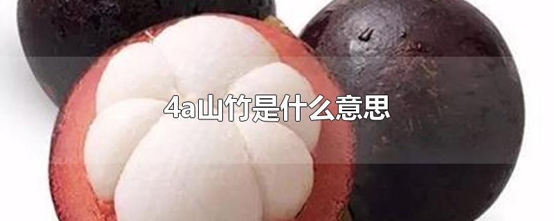 4a山竹是什么意思