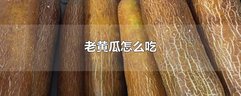 老黄瓜怎么吃