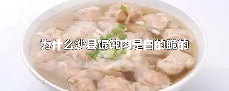 为什么沙县馄饨肉是白的脆的-最新为什么沙县馄饨肉是白的脆的整理解答