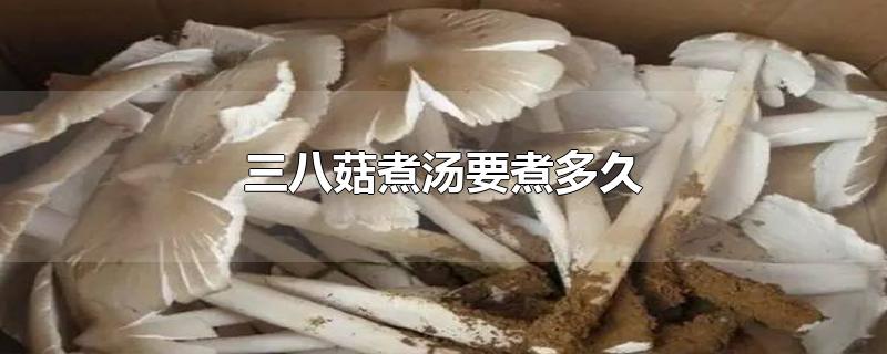 三八菇煮汤要煮多久-最新三八菇煮汤要煮多久整理解答