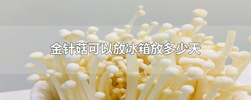 金针菇可以放冰箱放多少天-最新金针菇可以放冰箱放多少天整理解答