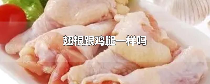 翅根跟鸡腿一样吗-最新翅根跟鸡腿一样吗整理解答