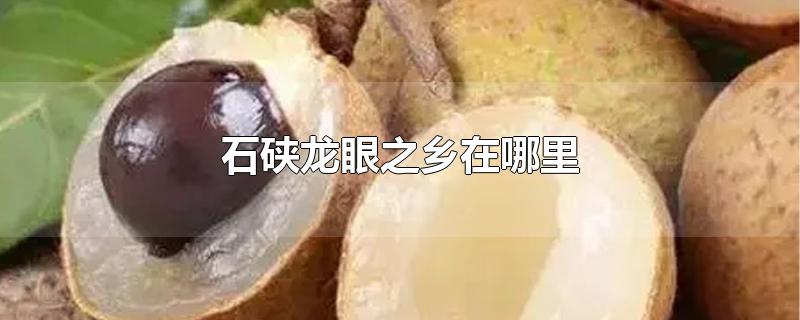 石硖龙眼之乡在哪里