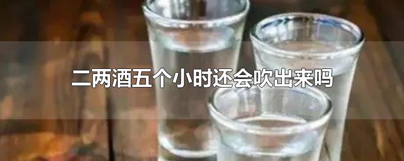 二两酒五个小时还会吹出来吗-最新二两酒五个小时还会吹出来吗整理解答