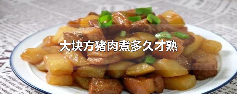 大块方猪肉煮多久才熟