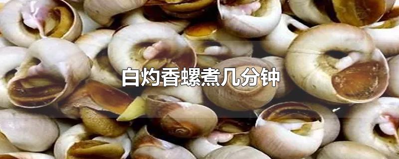 白灼香螺煮几分钟-最新白灼香螺煮几分钟整理解答