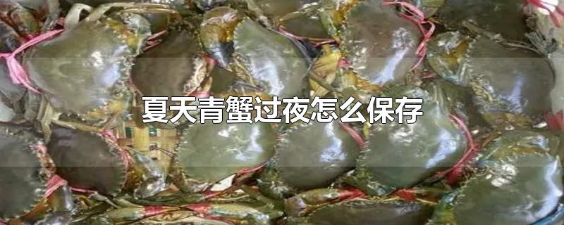 夏天青蟹过夜怎么保存