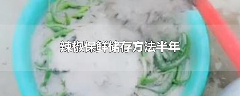 辣椒保鲜储存方法半年